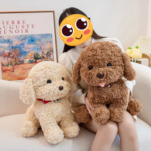 Load image into Gallery viewer, Toy Poodle Plush Toy - White / Cream, Apricot / Red Colors - Red Collar with Double Bell Design-Stuffed Animals-Dog Memorial Gifts,Stuffed Animal,Toy Poodle-2