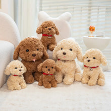 Load image into Gallery viewer, Toy Poodle Plush Toy - White / Cream, Apricot / Red Colors - Red Collar with Double Bell Design-Stuffed Animals-Dog Memorial Gifts,Stuffed Animal,Toy Poodle-20