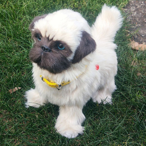 Walk Wag and Bark Interactive Pug Stuffed Animal Plush Toy