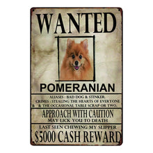 Load image into Gallery viewer, Wanted Afghan Hound Approach With Caution Tin Poster - Series 1-Sign Board-Afghan Hound, Dogs, Home Decor, Sign Board-Pomeranian-One Size-18