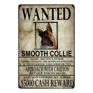 Wanted Afghan Hound Approach With Caution Tin Poster - Series 1-Sign Board-Afghan Hound, Dogs, Home Decor, Sign Board-Smooth Collie-One Size-22