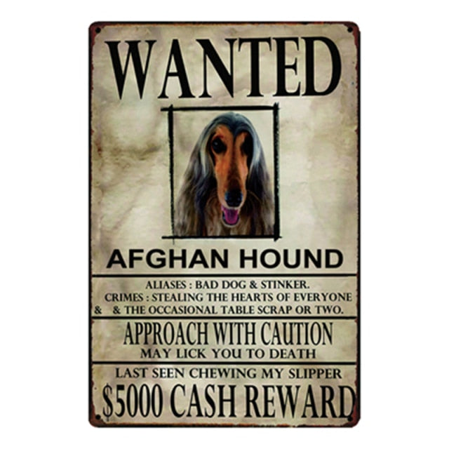 Wanted Afghan Hound Approach With Caution Tin Poster - Series 1-Sign Board-Afghan Hound, Dogs, Home Decor, Sign Board-Afghan Hound-One Size-1