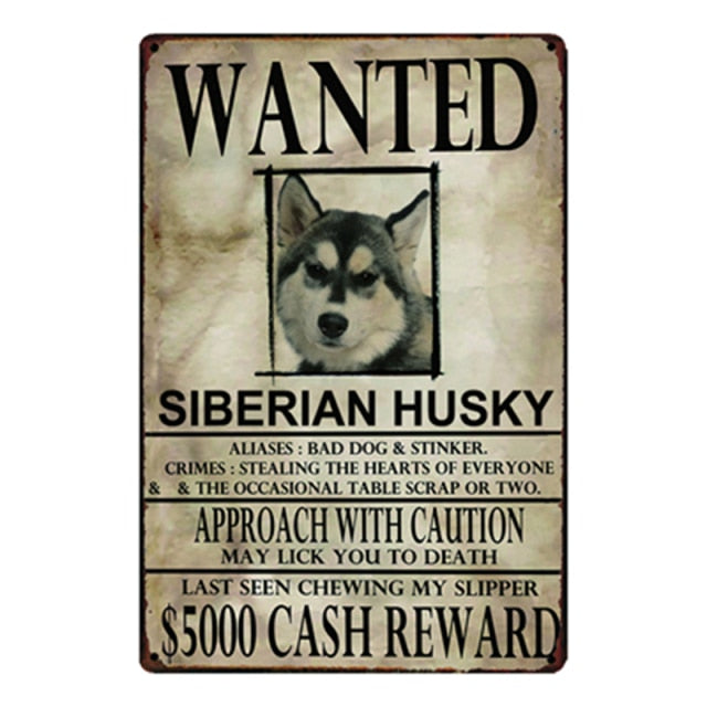 Wanted Siberian Husky Approach With Caution Tin Poster - Series 1-Sign Board-Dogs, Home Decor, Siberian Husky, Sign Board-Siberian Husky-One Size-1