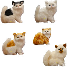 Load image into Gallery viewer, White Persian Cat plush - Sweet Chubby Cheeks-2