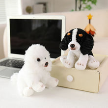 Load image into Gallery viewer, White Poodle Plush - Sit with Me-6