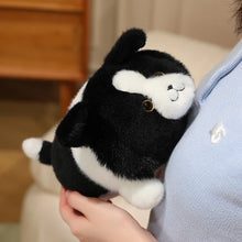 Load image into Gallery viewer, White Swiss Shepherd Plush Toy - Adorable Plumpy Small Belly Flop Berger Blanc Suisse-5
