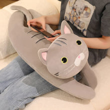 Load image into Gallery viewer, Wide Eyed Grey Cat Stuffed Animal Plush Toys-11