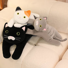 Load image into Gallery viewer, Wide Eyed Grey Cat Stuffed Animal Plush Toys-8