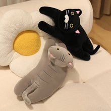 Load image into Gallery viewer, Wide Eyed Grey Cat Stuffed Animal Plush Toys-9