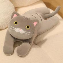 Load image into Gallery viewer, Wide Eyed Grey Cat Stuffed Animal Plush Toys-Cats-Cats,Stuffed Animal-6