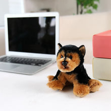 Load image into Gallery viewer, Yorkie Plush - Sit with Me-2