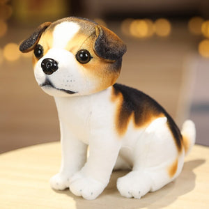 image of a cute sitting beagle stuffed animal plush toy