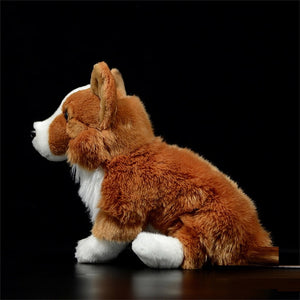 image of an adorable corgi stuffed animal plush toy - sideview