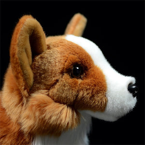 image of a corgi stuffed animal plush toy - face