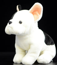 Load image into Gallery viewer, image of an adorable french bulldog stuffed animal plush toy standing in black background