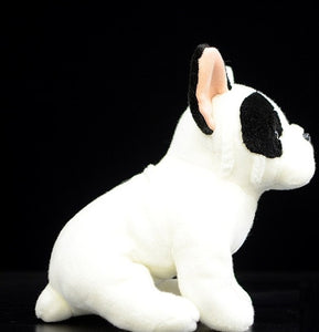 image of an adorable french bulldog stuffed animal plush toy standing in black background