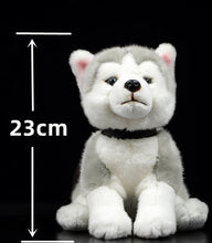 Load image into Gallery viewer, image of an adorable husky stuffed animal plush toy