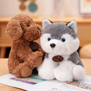 image of an adorable husky stuffed animal plush toy