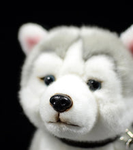 Load image into Gallery viewer, image of a husky stuffed animal plush toy - face