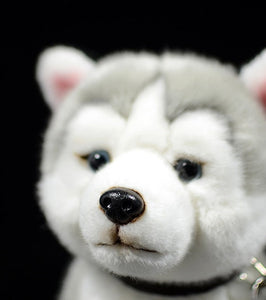 image of a husky stuffed animal plush toy - face