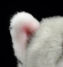 Load image into Gallery viewer, image of a husky stuffed animal plush toy - ear close up