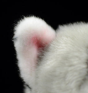 image of a husky stuffed animal plush toy - ear close up