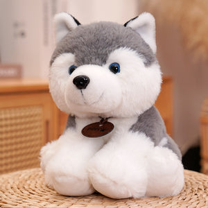 image of a husky stuffed animal plush toy