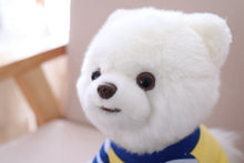 Load image into Gallery viewer, image of an adorable pomeranian stuffed animal plush toy - close view of face