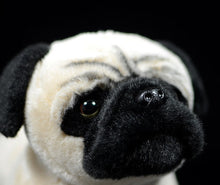 Load image into Gallery viewer, image of an adorable pug stuffed animal plush toy standing in black background - face close-sup