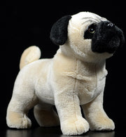 image of an adorable pug stuffed animal plush toy standing in black background
