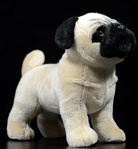 image of an adorable pug stuffed animal plush toy standing in black background