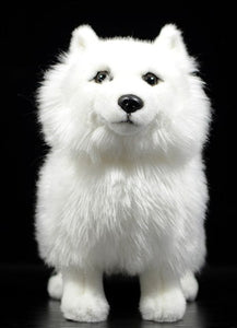 image of an adorable white samoyed stuffed animal plush toy in black background 