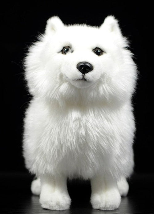 Samoyed shop stuffed toy