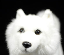 Load image into Gallery viewer, image of an adorable white samoyed stuffed animal plush toy in black background - face