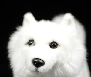 image of an adorable white samoyed stuffed animal plush toy in black background - face