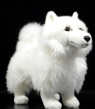 Load image into Gallery viewer, image of an adorable white samoyed stuffed animal plush toy in black background