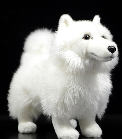 Samoyed clearance plush toy