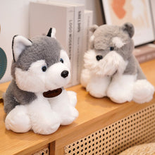 Load image into Gallery viewer, image of an adorable schnauzer stuffed animal plush toy sitting on a table