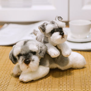 image of an adorable schnauzer stuffed animal plush toy sitting on a mat