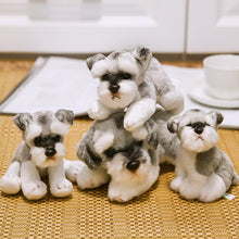 Load image into Gallery viewer, image of a collection of adorable schnauzer stuffed animal plush toys sitting on a mat