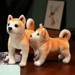 image of a two shiba inu stuffed animal plush toys