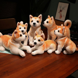 image of a collection of shiba inu stuffed animal plush toys