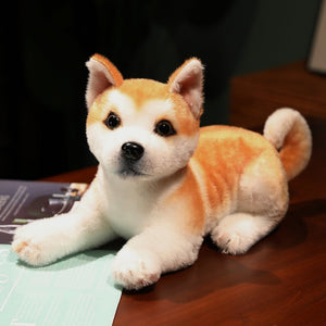 image of an adorable shiba inu stuffed animal plush toy lying on the table