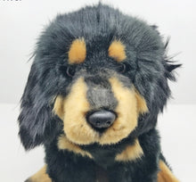 Load image into Gallery viewer, image of an adorable tibetan mastiff stuffed animal plush toy in white background