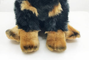 image of an adorable tibetan mastiff stuffed animal plush toy in white background - leg close-up