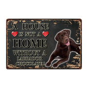 A House Is Not A Home Without A Cavalier King Charles Spaniel Tin Poster-Sign Board-Cavalier King Charles Spaniel, Dogs, Home Decor, Sign Board-12