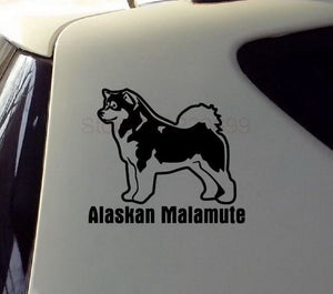 Image of an alaskan malamute car sticker in the cutest alaskan malamute design