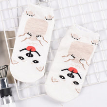 Load image into Gallery viewer, Image of the cutest ankle length American Eskimo Dog socks in smiling American Eskimo Dog design
