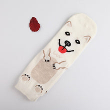 Load image into Gallery viewer, Image of the cutest normal length American Eskimo Dog socks in smiling American Eskimo Dog design