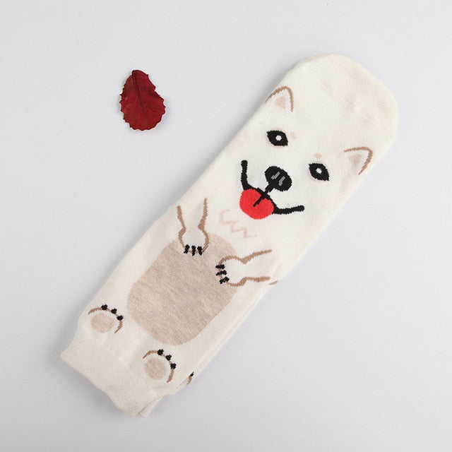 Image of the cutest normal length American Eskimo Dog socks in smiling American Eskimo Dog design